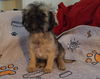 Bobby