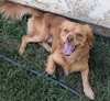 Cash - Photo 3