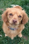 Cash - Photo 1