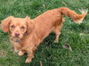 Cash - Photo 2