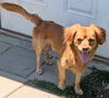 Cash - Photo 3