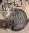Calliope - Photo 1