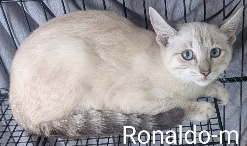 Ronaldo