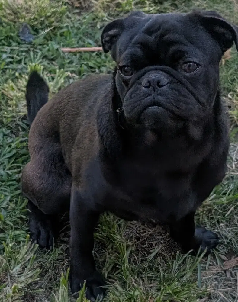 Miles image 3