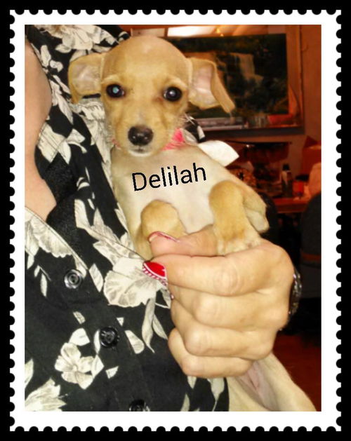 Delilah