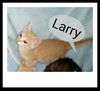 Larry