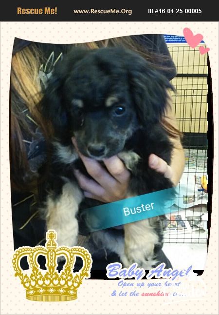 Buster