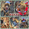 Kayak - Photo 6
