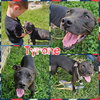 Tyrone - Photo 2