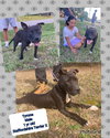 Tyrone - Photo 6