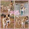 Molly - Photo 5