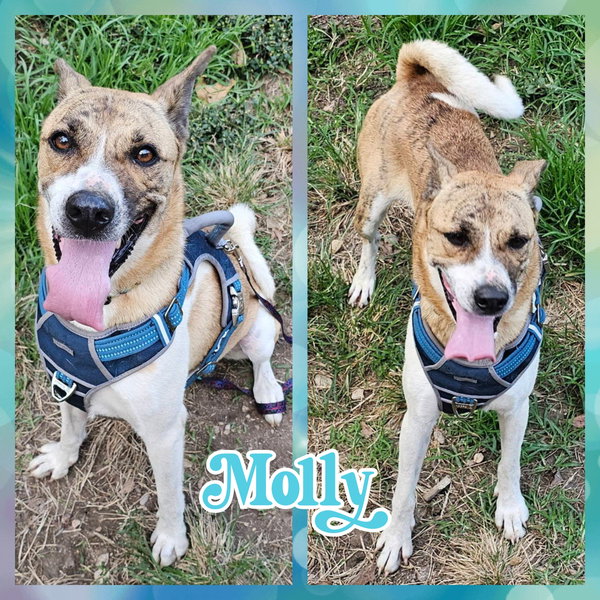Molly