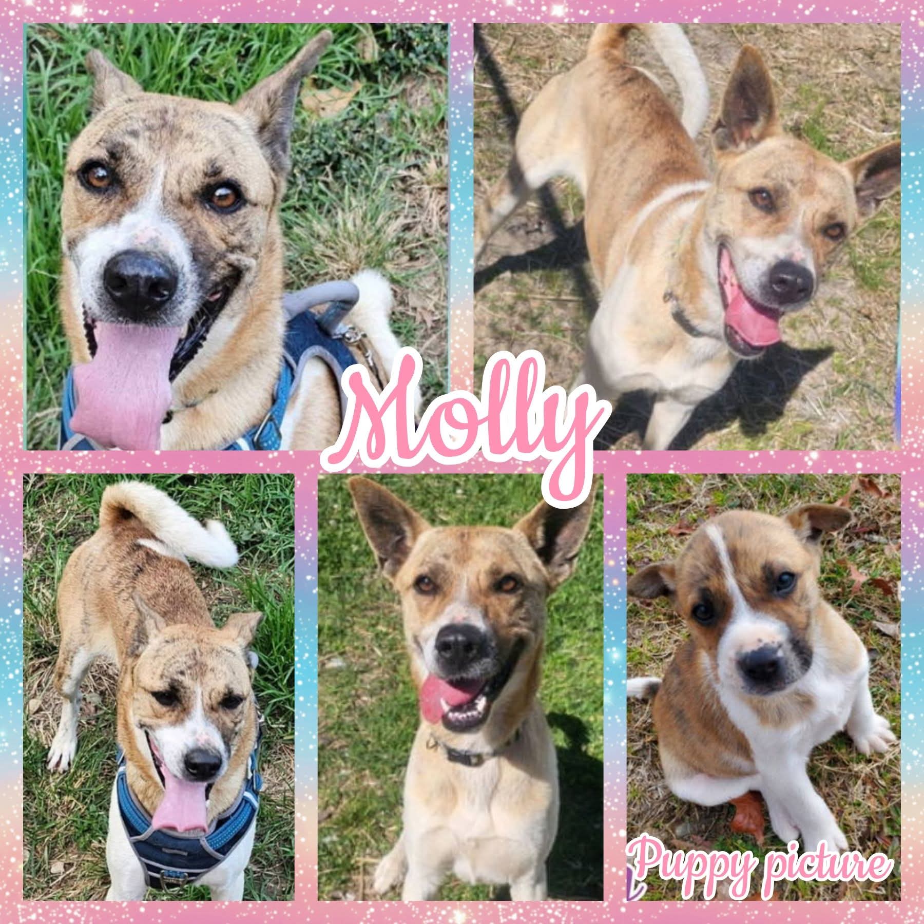 Molly