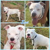 Zeus - Photo 1