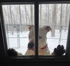 Zeus - Photo 2