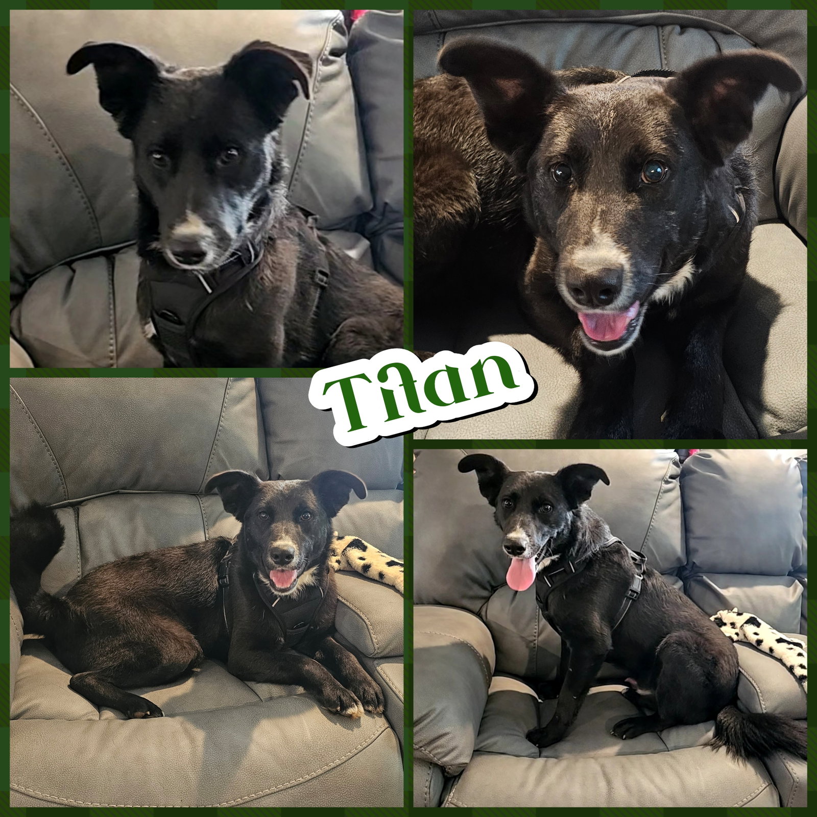Titan