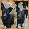 Turbo - Photo 4