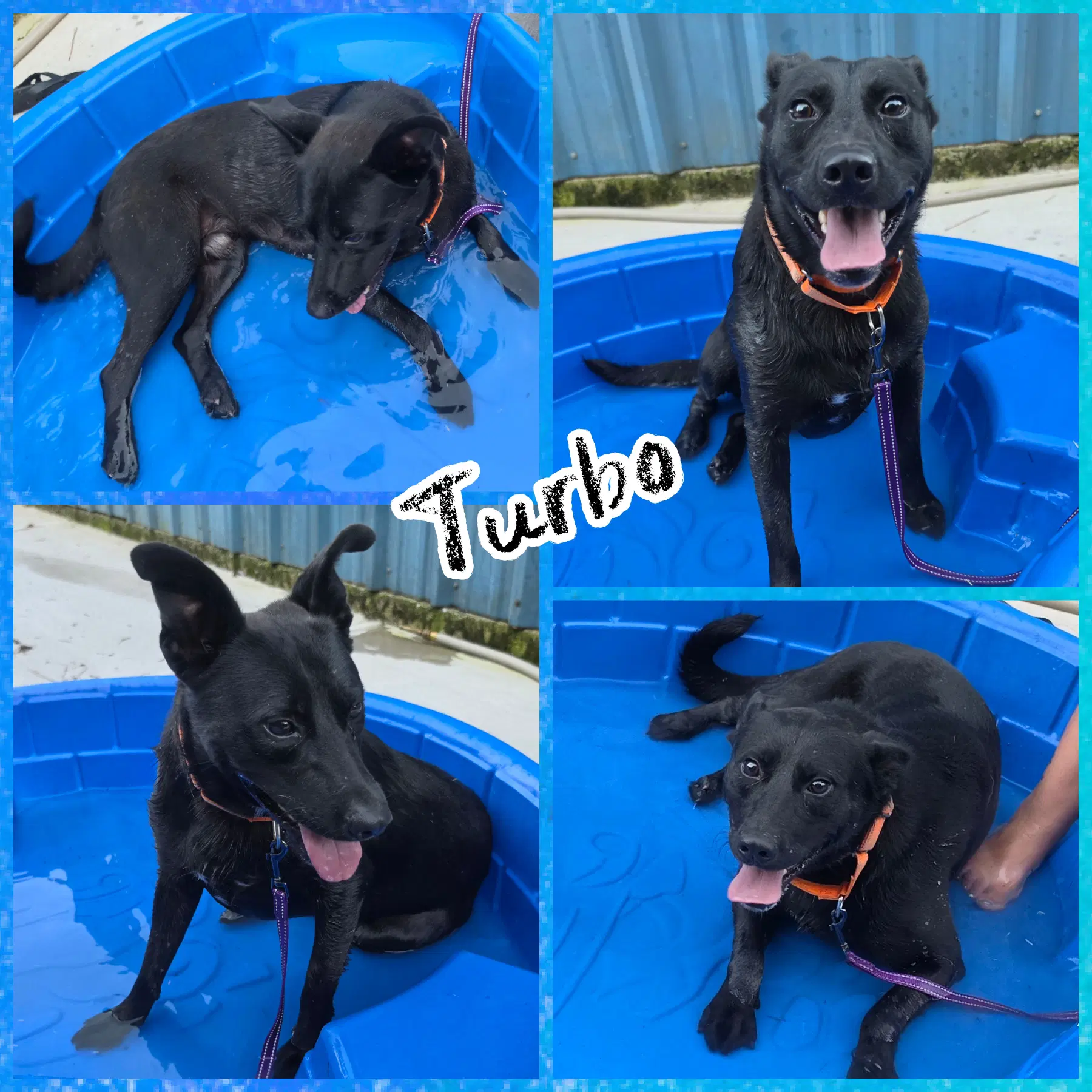 Turbo image 2