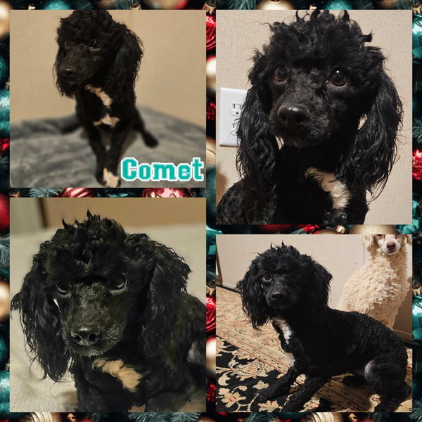 Comet
