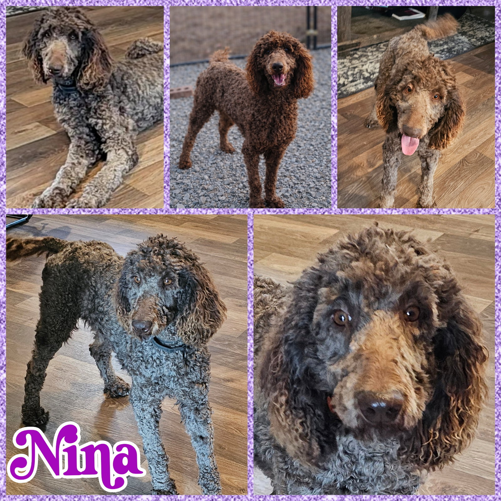 Nina