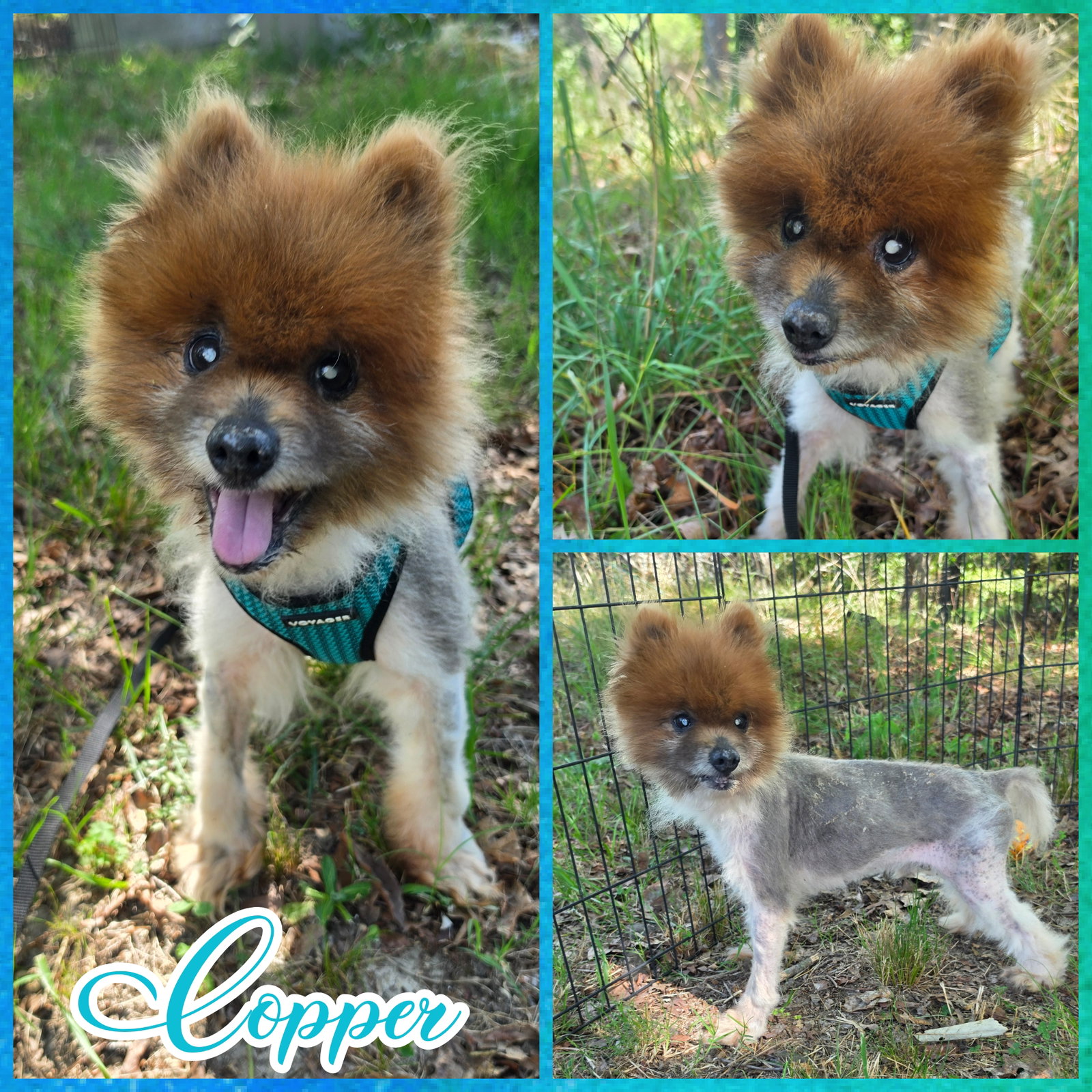 Copper