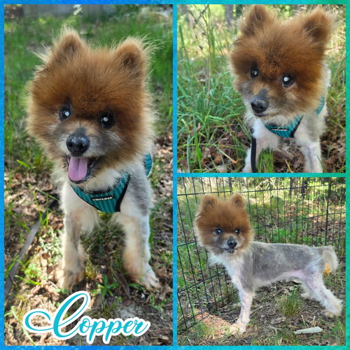 Copper