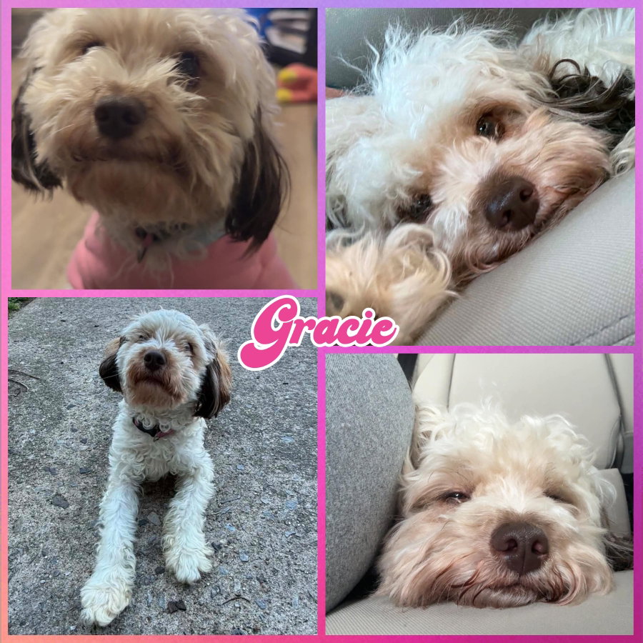 Gracie