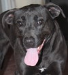 McCoy - Photo 1