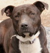 Walter - Photo 1