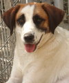 Chance - Photo 1