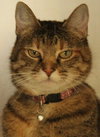 Sandy - Photo 1