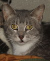 Kitty - Photo 1
