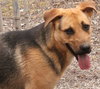 Knox - Photo 1