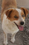 Benny - Photo 1