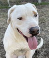 Casper - Photo 1