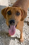 Cleo - Photo 1