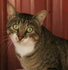 Georgie - Photo 1