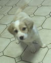 Jake Nova *LOCAL*