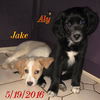 Jake Nova *LOCAL*