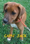 Cap'n Jack Depp Solis