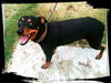 Rainey *LOCAL* MEET ME!