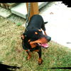 Rainey *LOCAL* MEET ME!