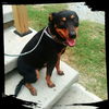 Rainey *LOCAL* MEET ME!