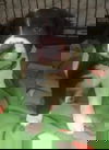 Lady Girl *LOCAL*