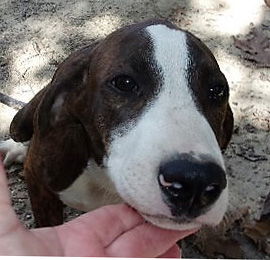 Maddie *LOCAL* MEET ME!