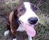 Maddie *LOCAL* MEET ME!