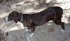 Maddie *LOCAL* MEET ME!