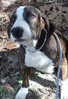 Maddie *LOCAL* MEET ME!