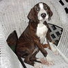 Maddie *LOCAL* MEET ME!
