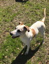 Maggie *MEET ME!*